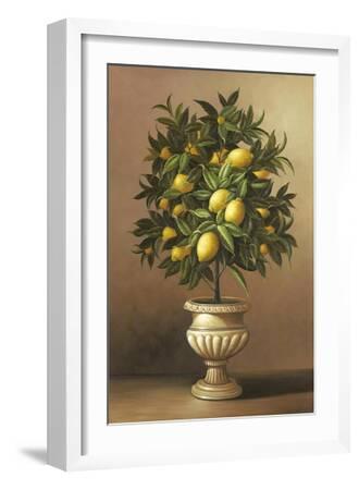 32X48 Welby Potted Lemon Tree Gallery Wrapped Canvas 